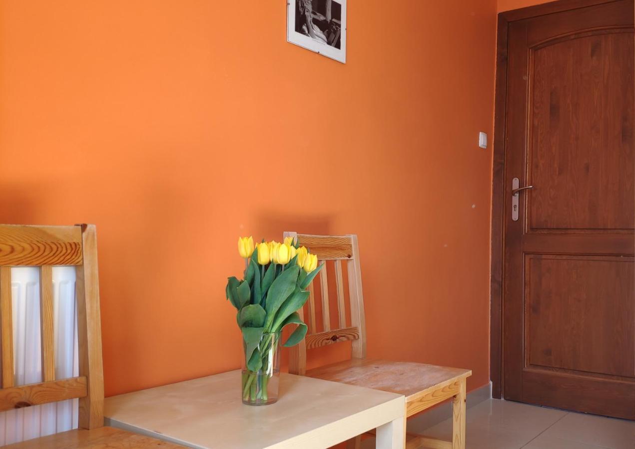 Solaris Homestay *