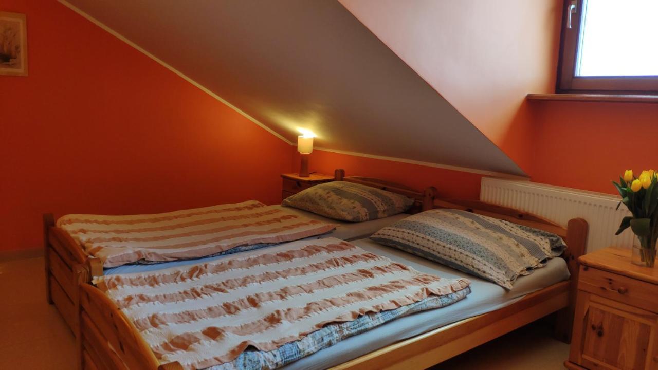 Solaris Homestay *
